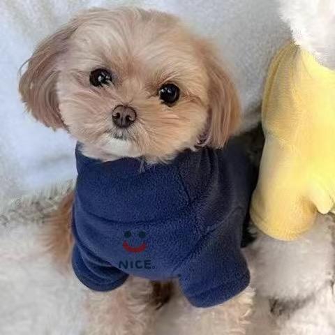 福报到