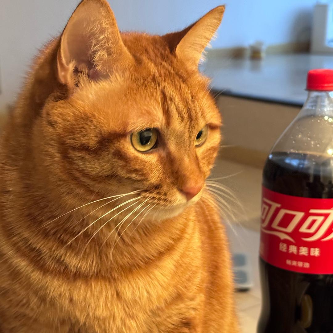 智斗武松非俺不可