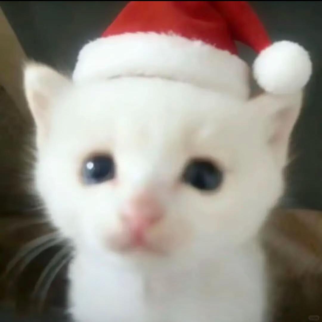 小雾续意^