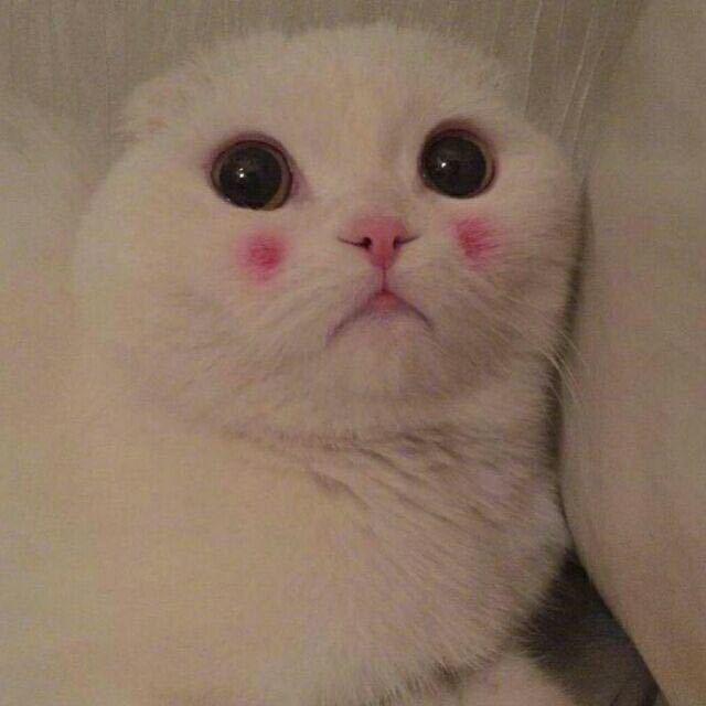 雾川