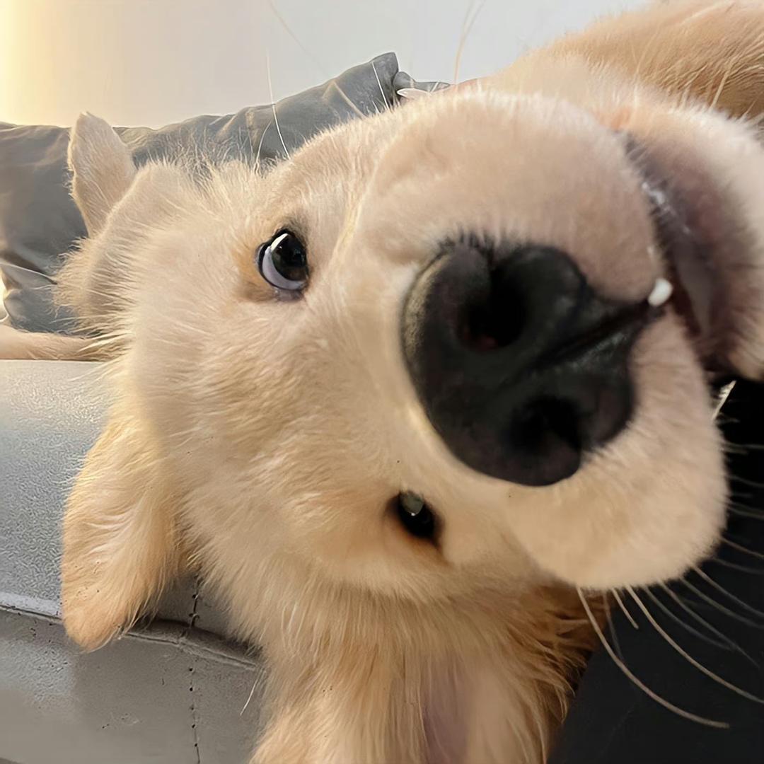 顺利出文张同学