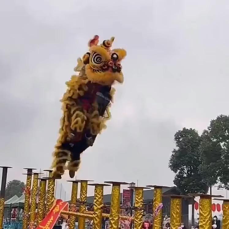 重庆奉节鸿陽舞狮文化传播团