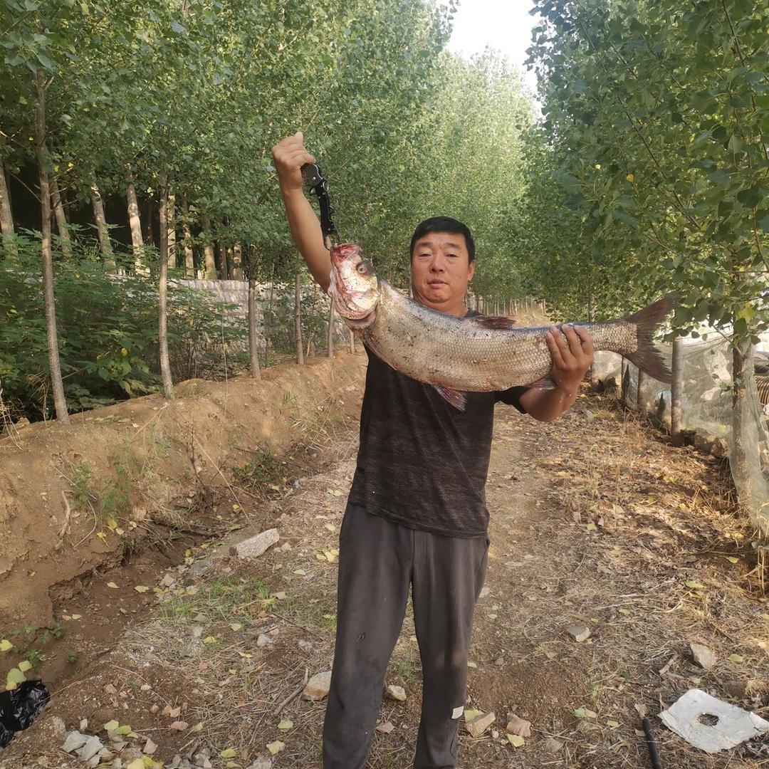 渔你同行（野钓）