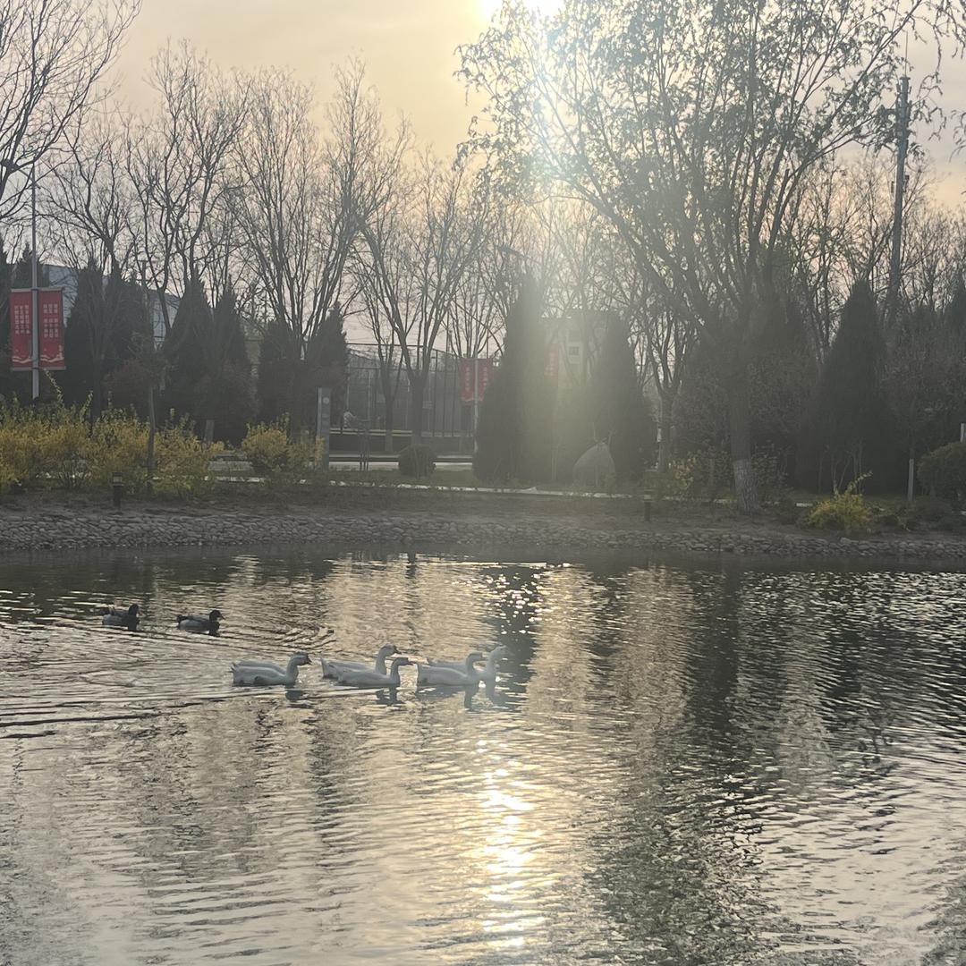 佳盛宽途严选生活坊