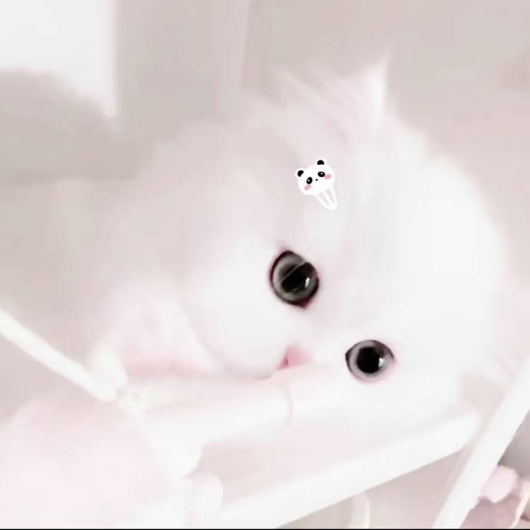 世界怎么这么坏