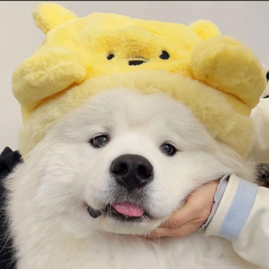 太原租房小帅