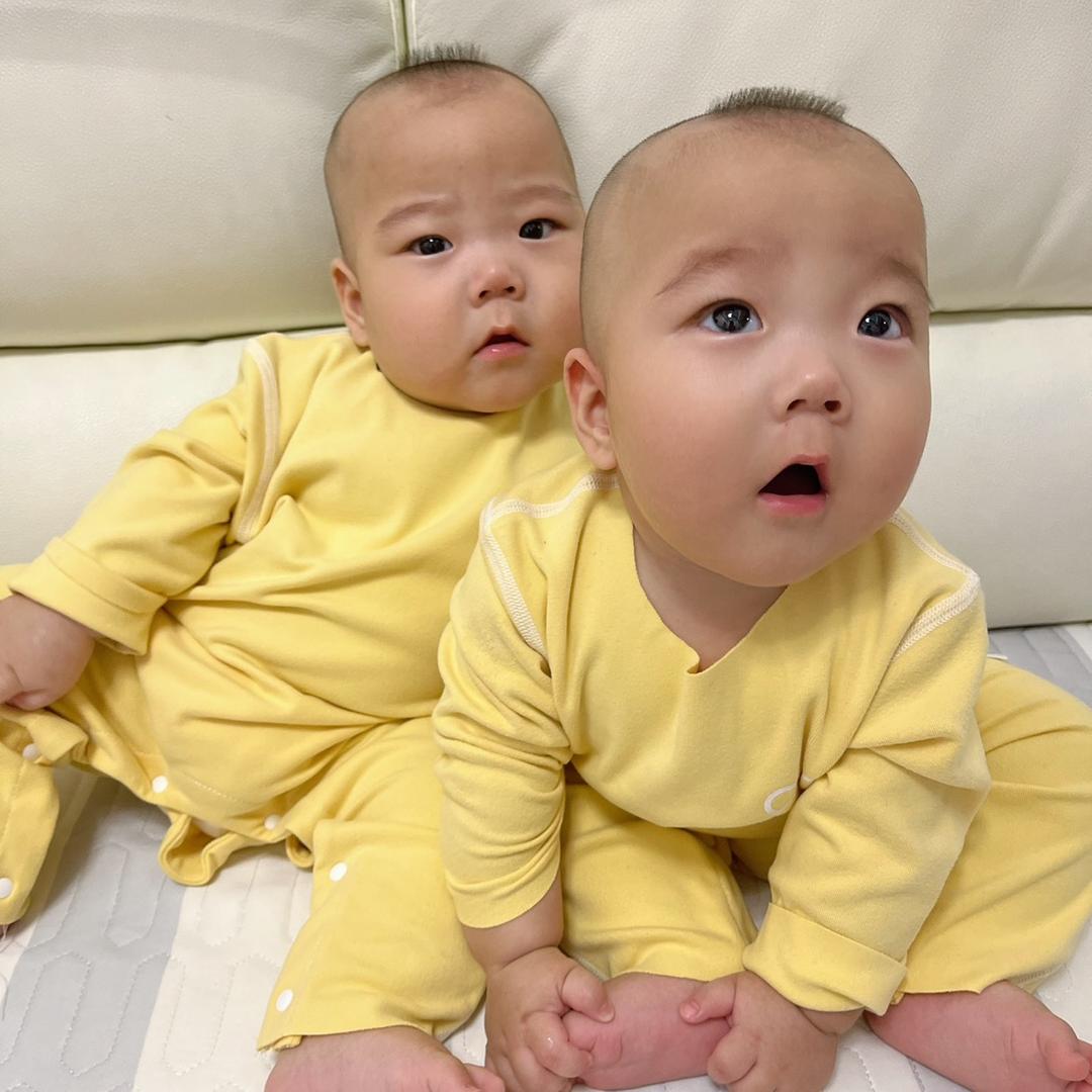 团团圆圆麻麻