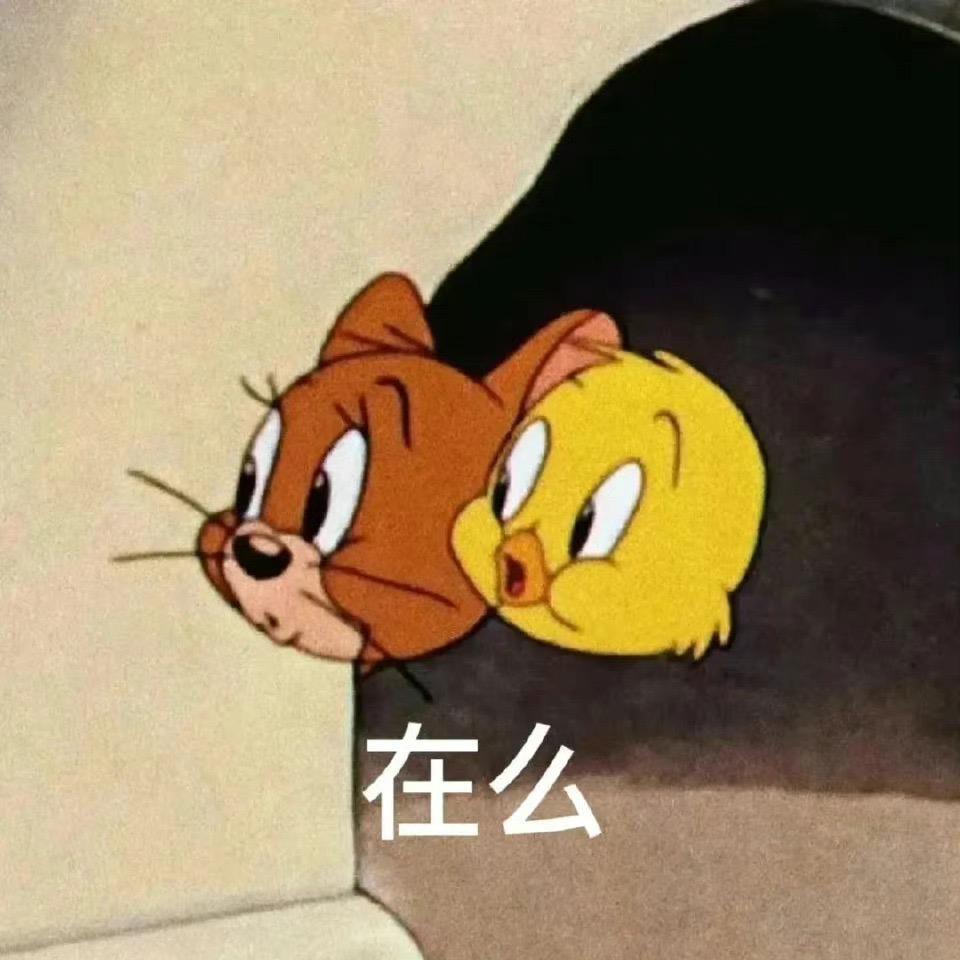 铁锅炖大鹅🦢