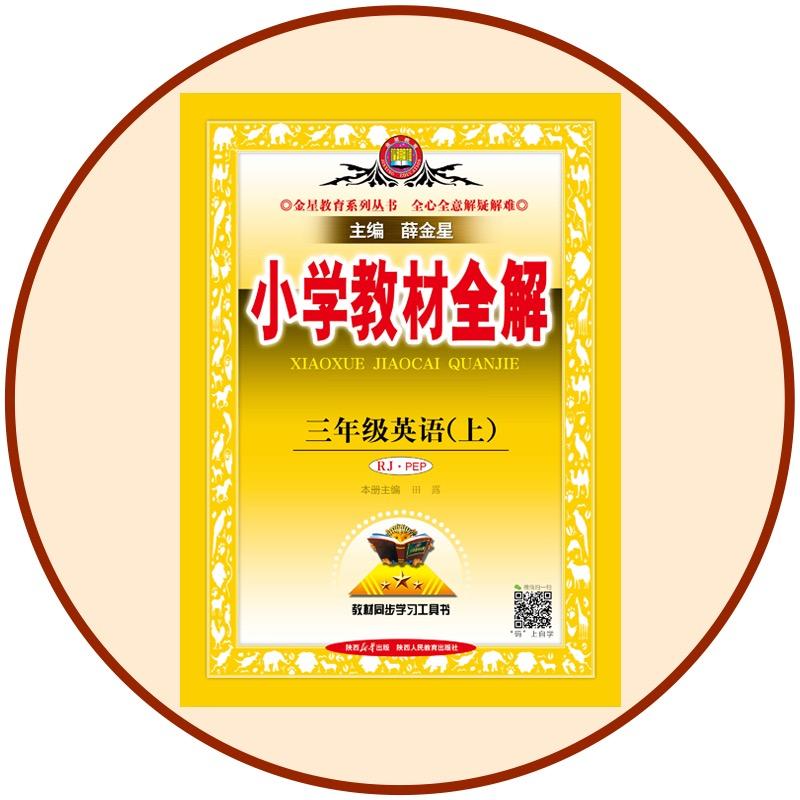 薛金星全解图书严选