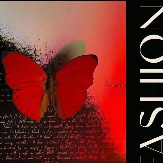 红蝴蝶.轻奢女装👚