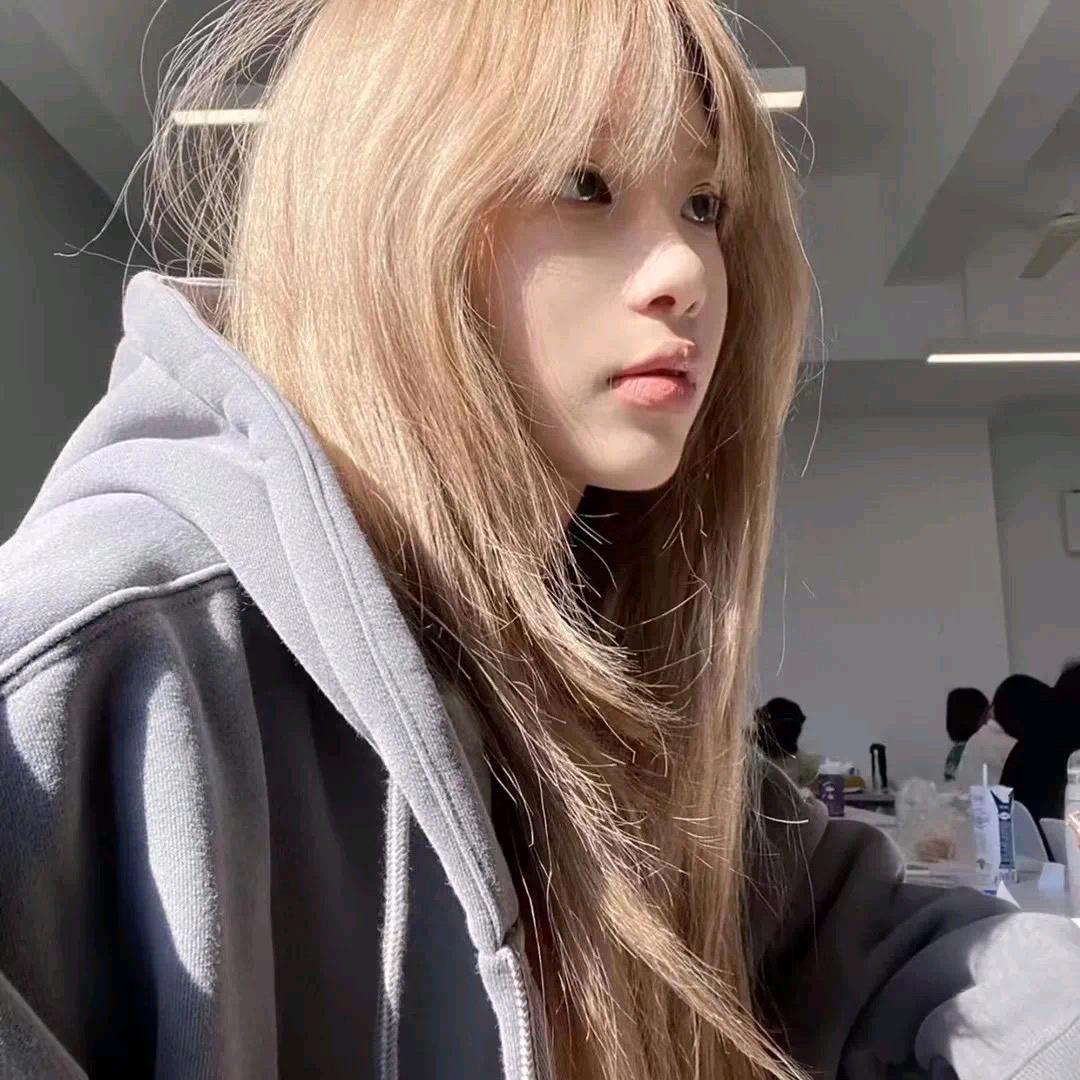 序桉