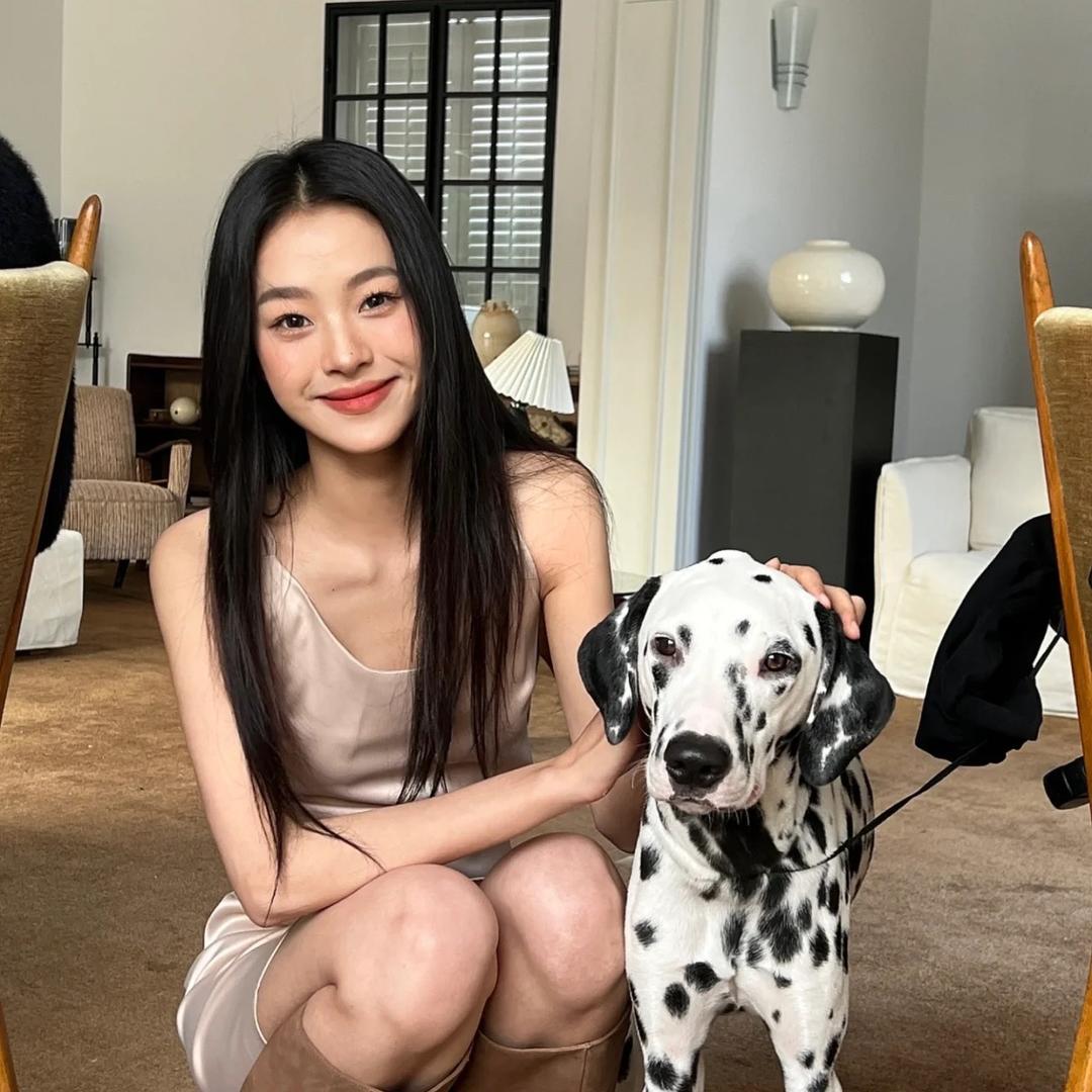 蛋挞小H