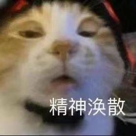 破木耳