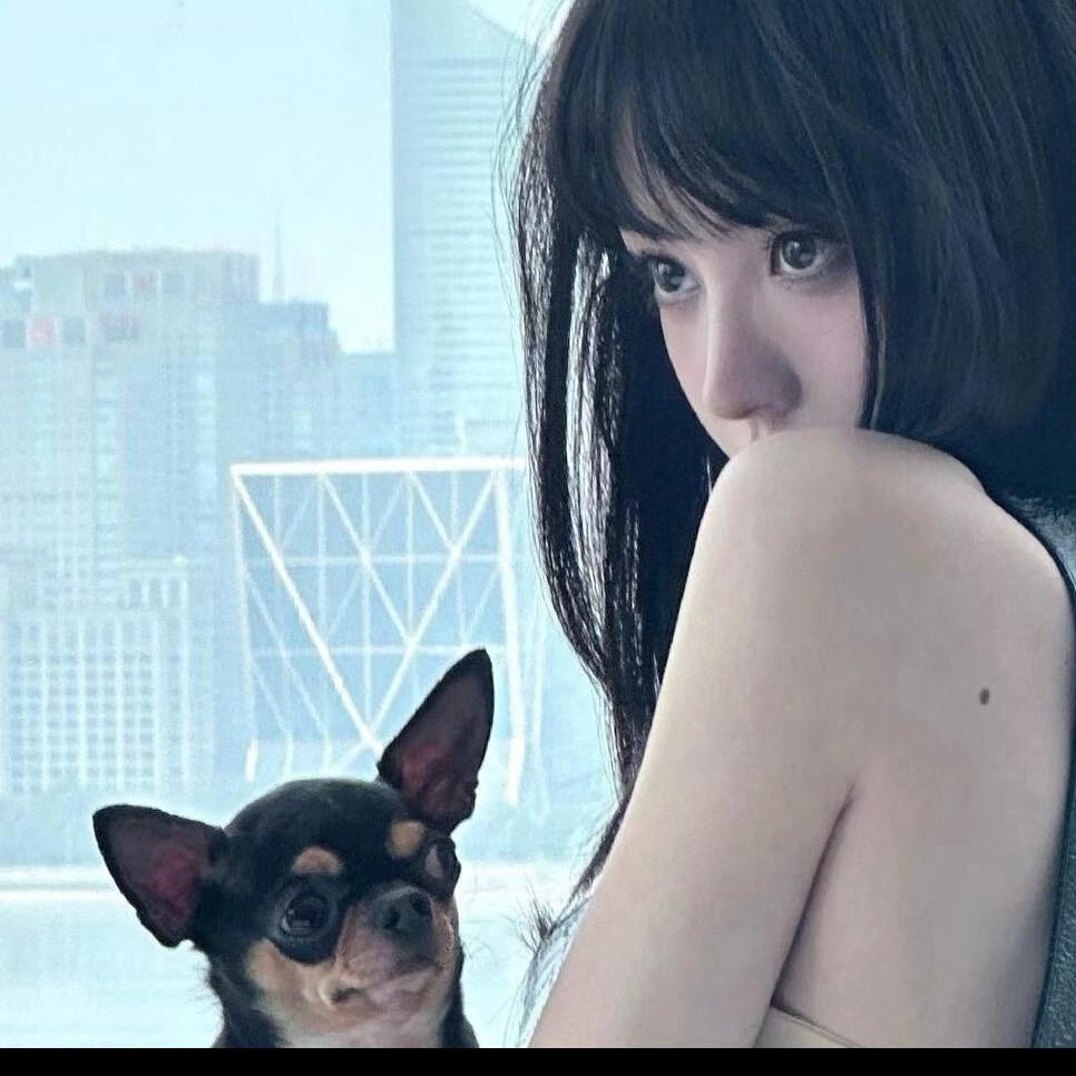 毛子🐑