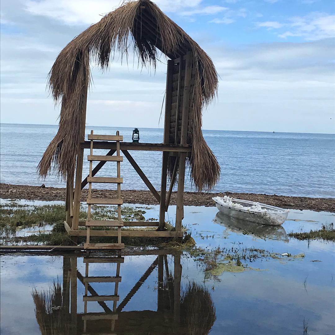 莱芙艾迪儿（关山月）