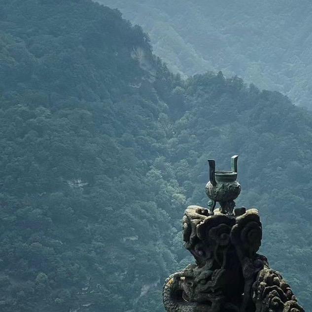 观南居士
