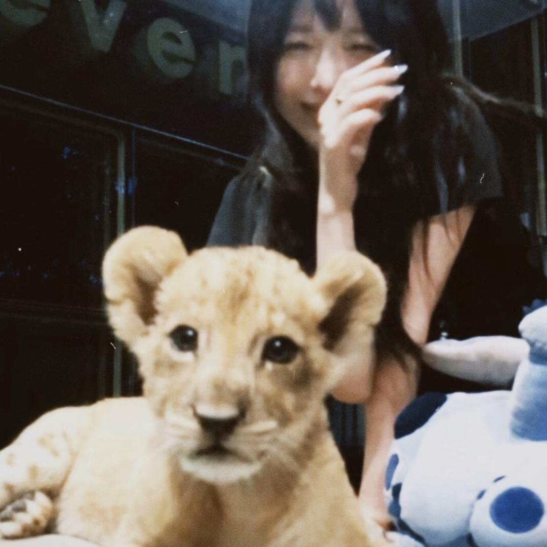 不吃鱼🐟
