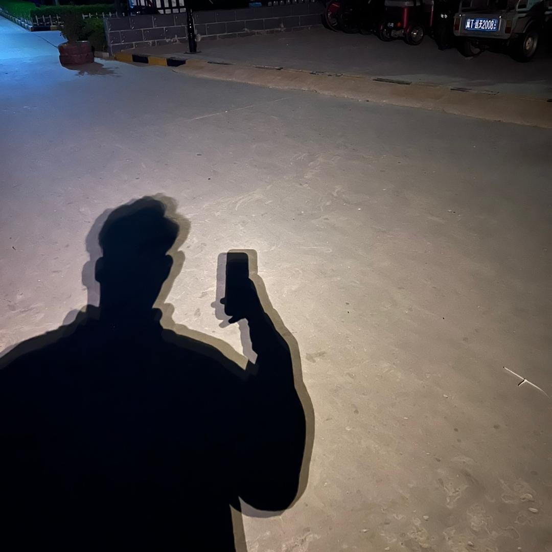 龍龍.