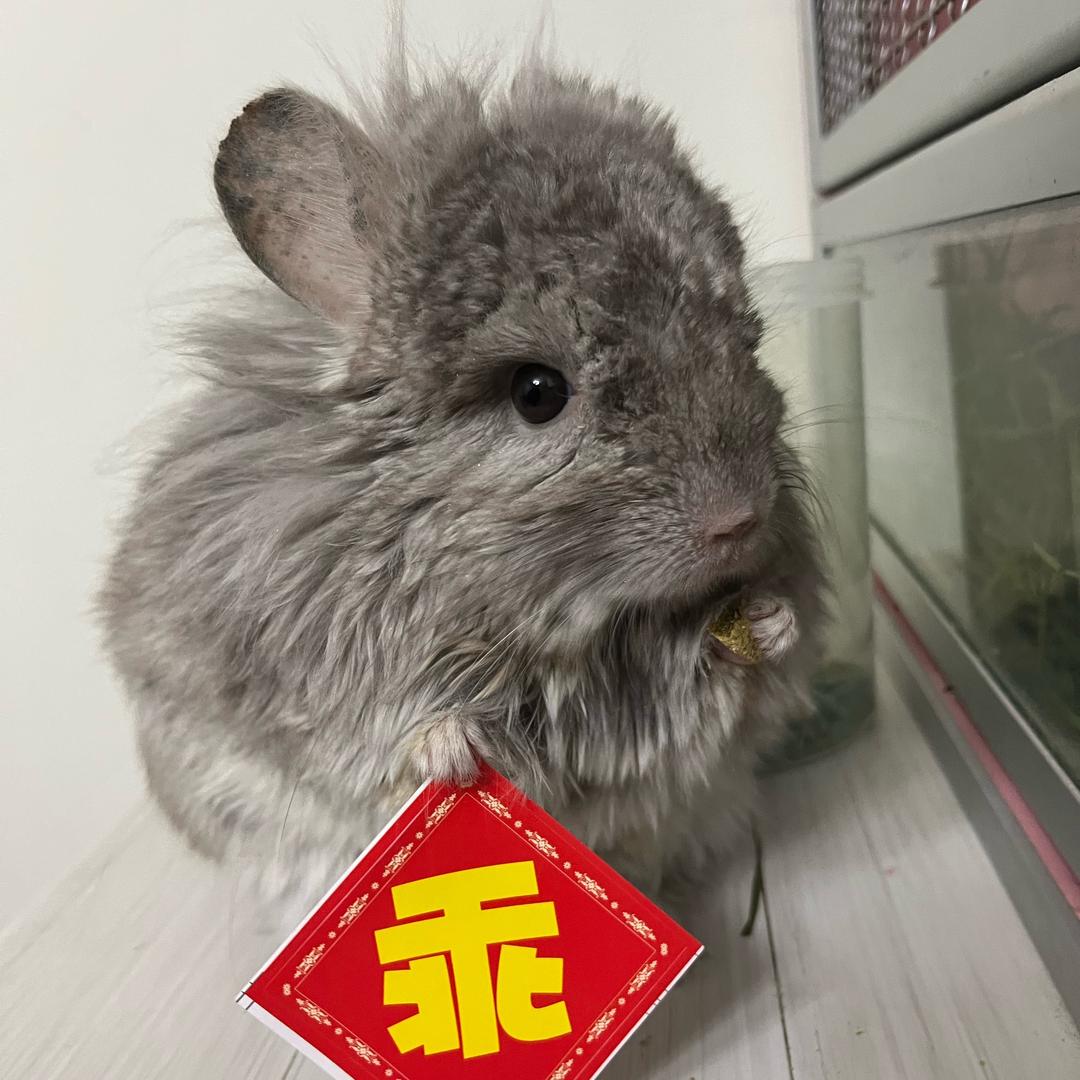 微笑哥