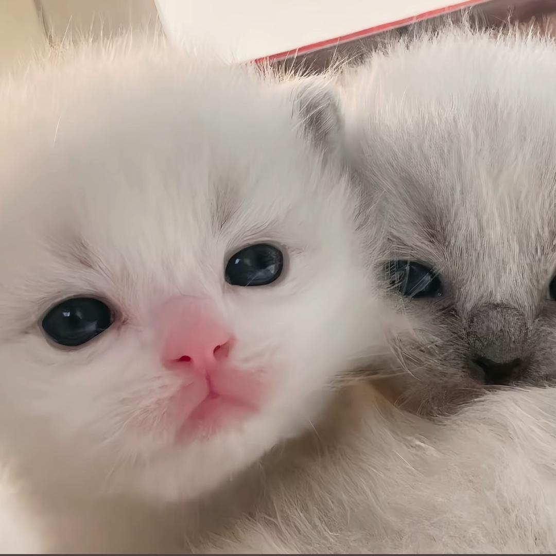 鞥