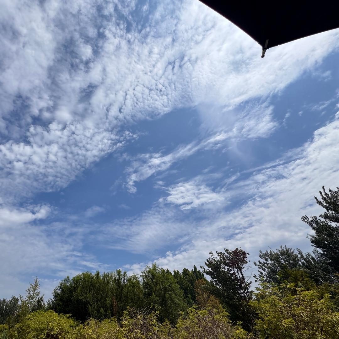 白云山敬修堂益生菌工厂