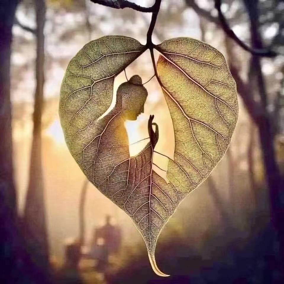 🧘‍♀️Cརིང་སྒྲོལ་G