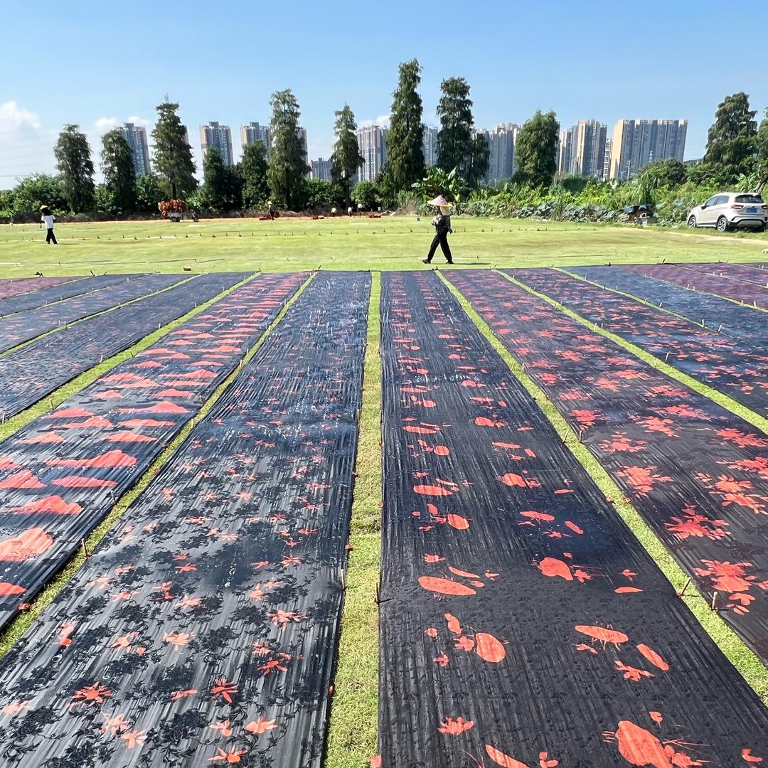 顺德伦教香云纱