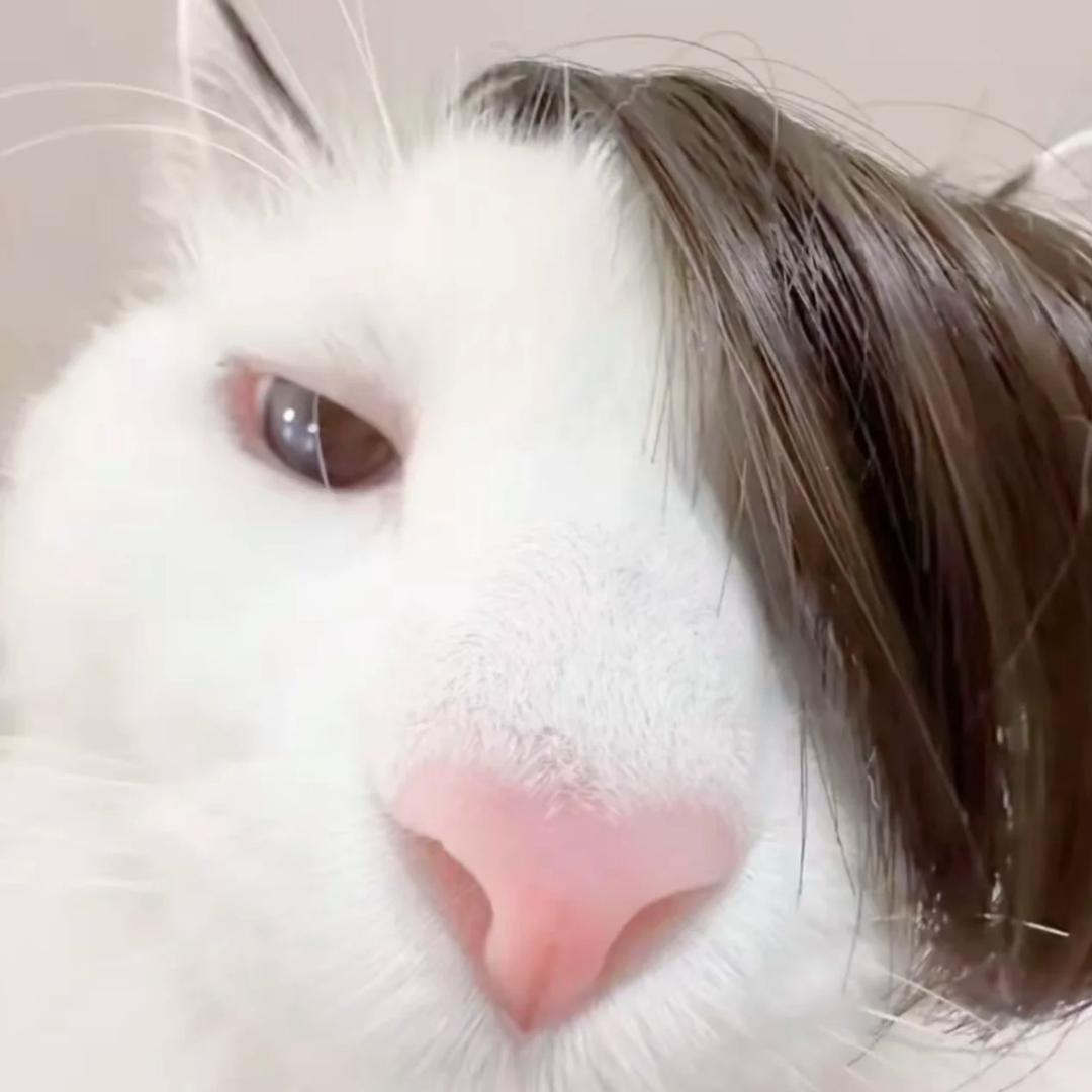 ค来᳐ 财᳐ฅ ੭