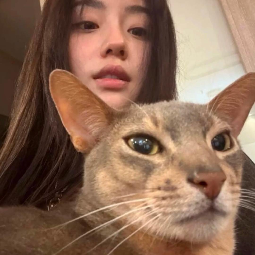 用户小朱