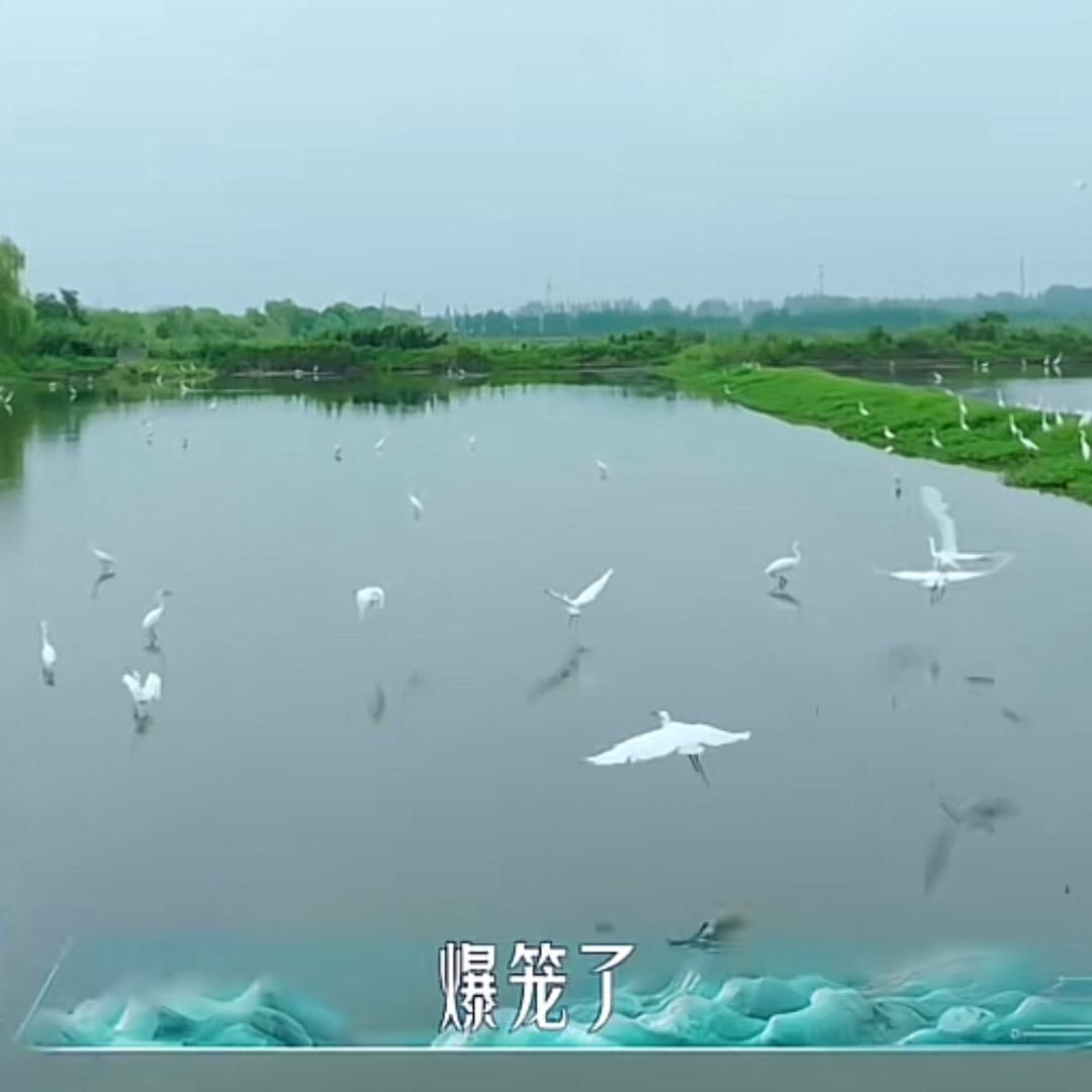 夏小冬