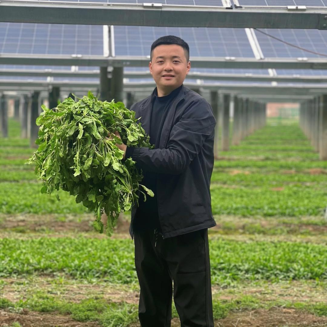 小段果蔬家乡菜