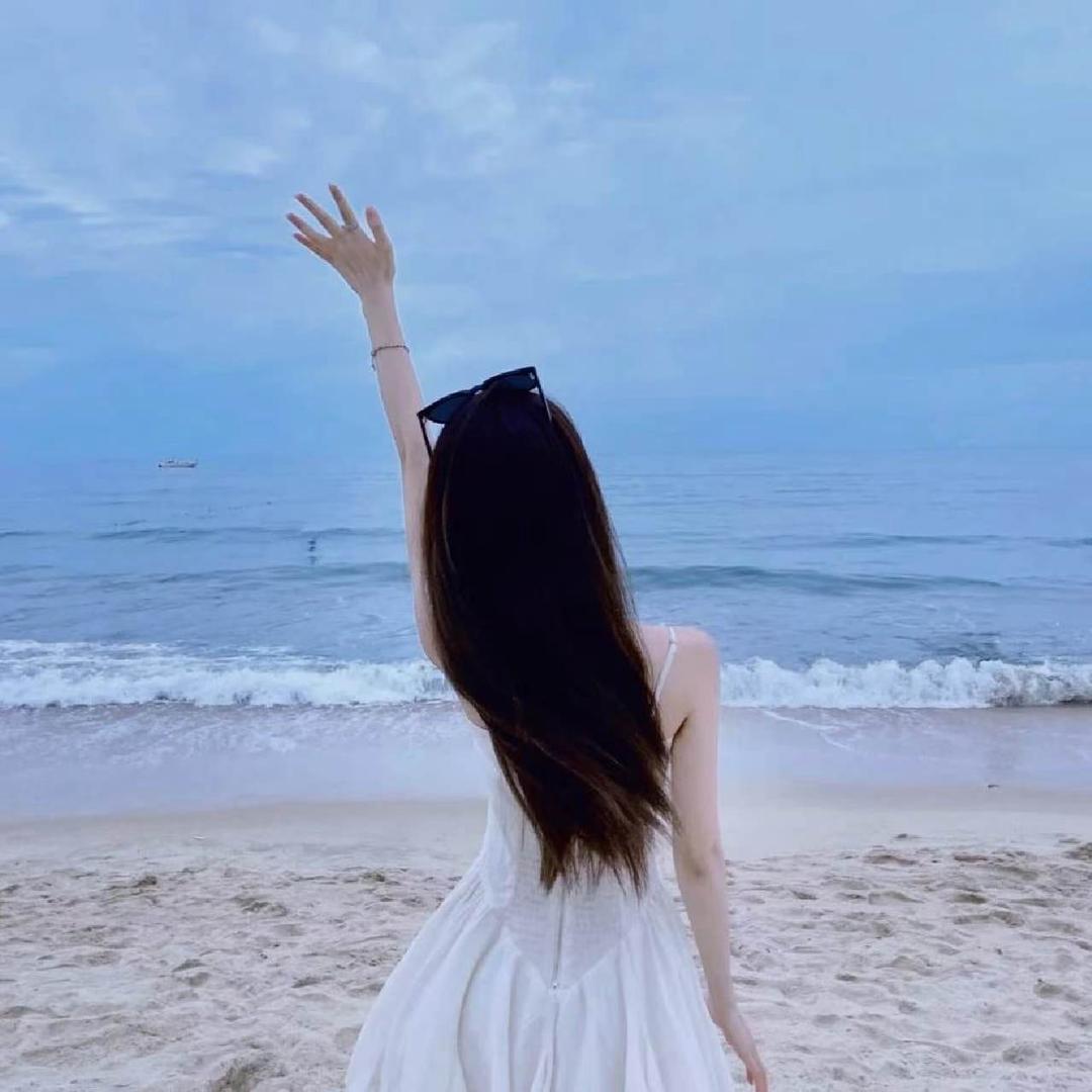 淑女小绵羊