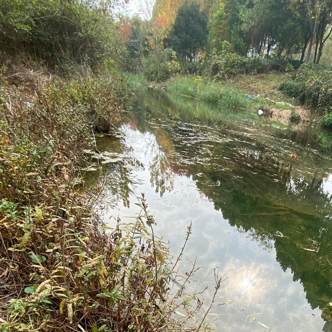 溪水边