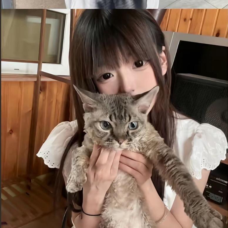 赞犹