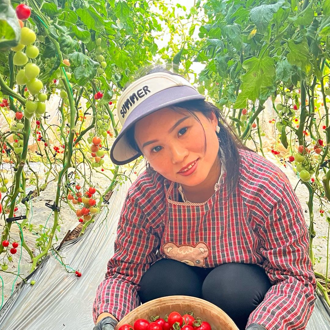 张毛毛的果园生活