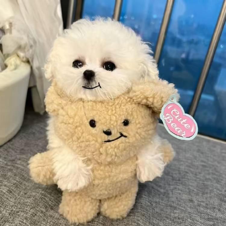 .小比个羊