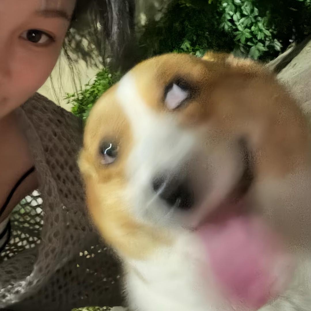 年糕🥄