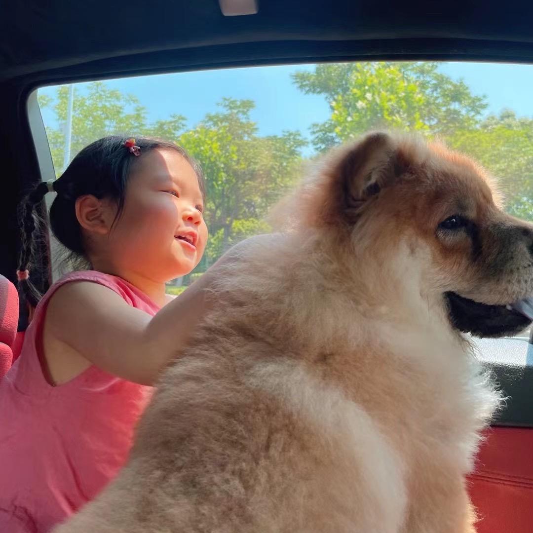 小晨带娃