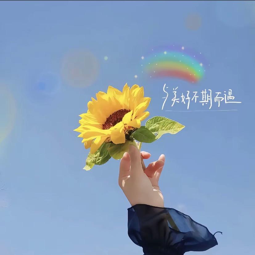不期而遇