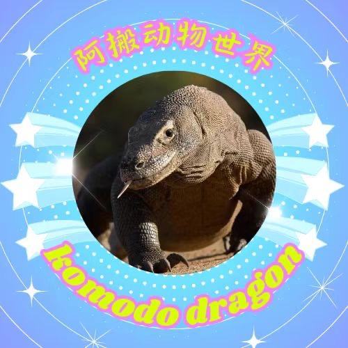阿搬动物世界
