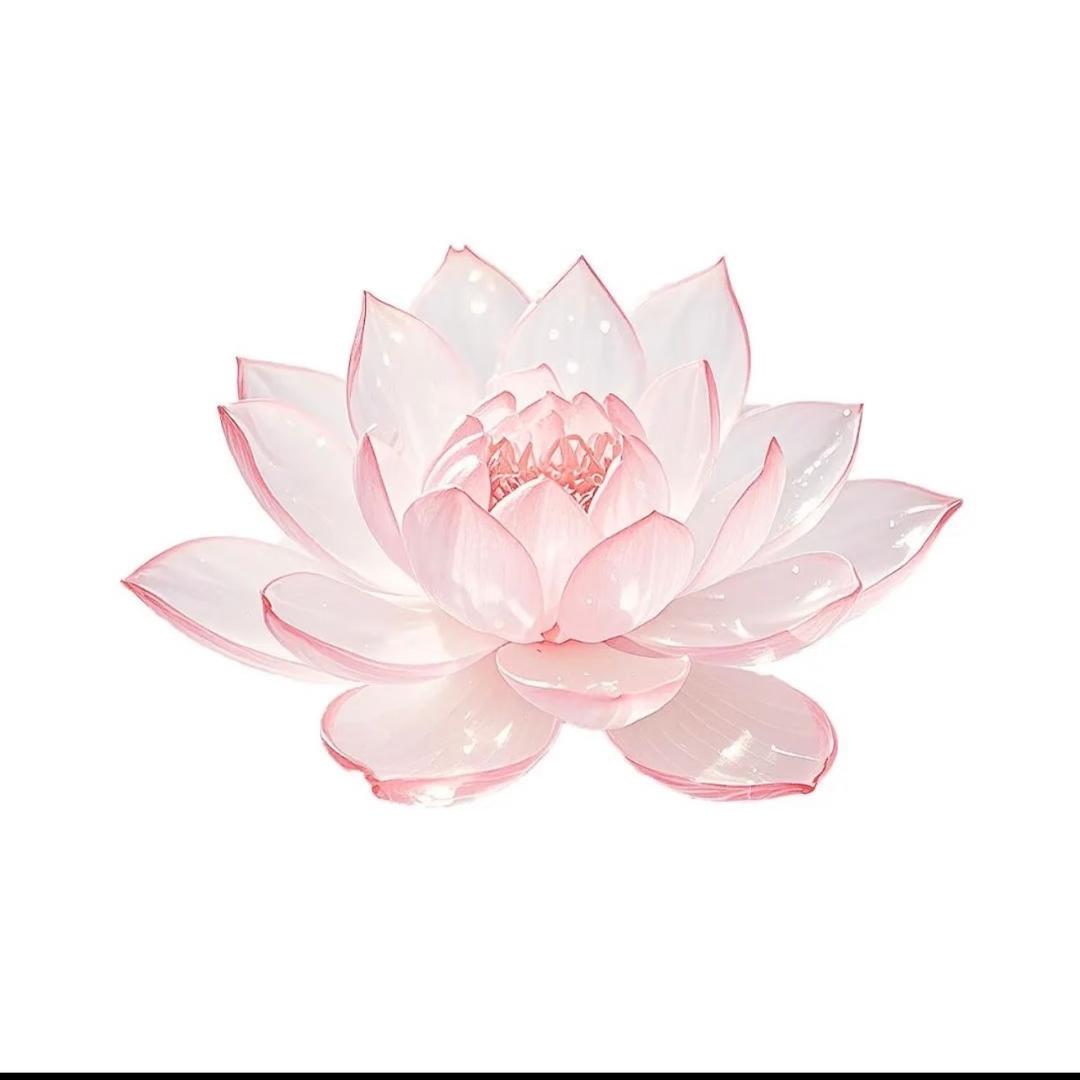 金光闪闪的美人