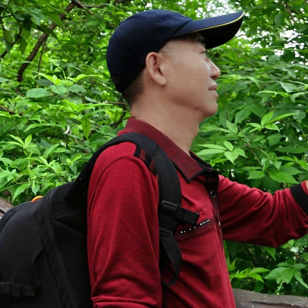 冬天的太阳