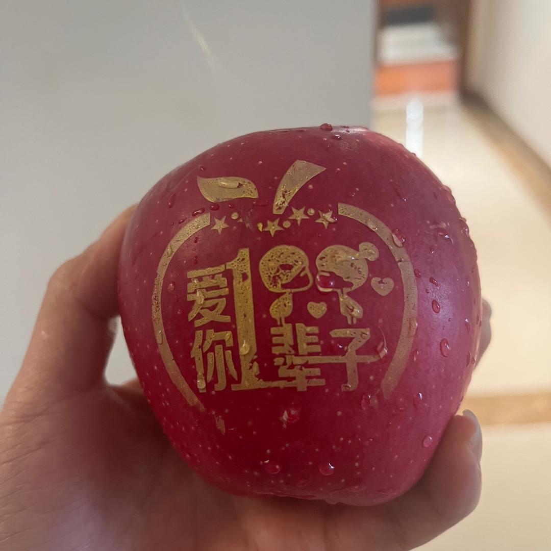 猪猪来了¥