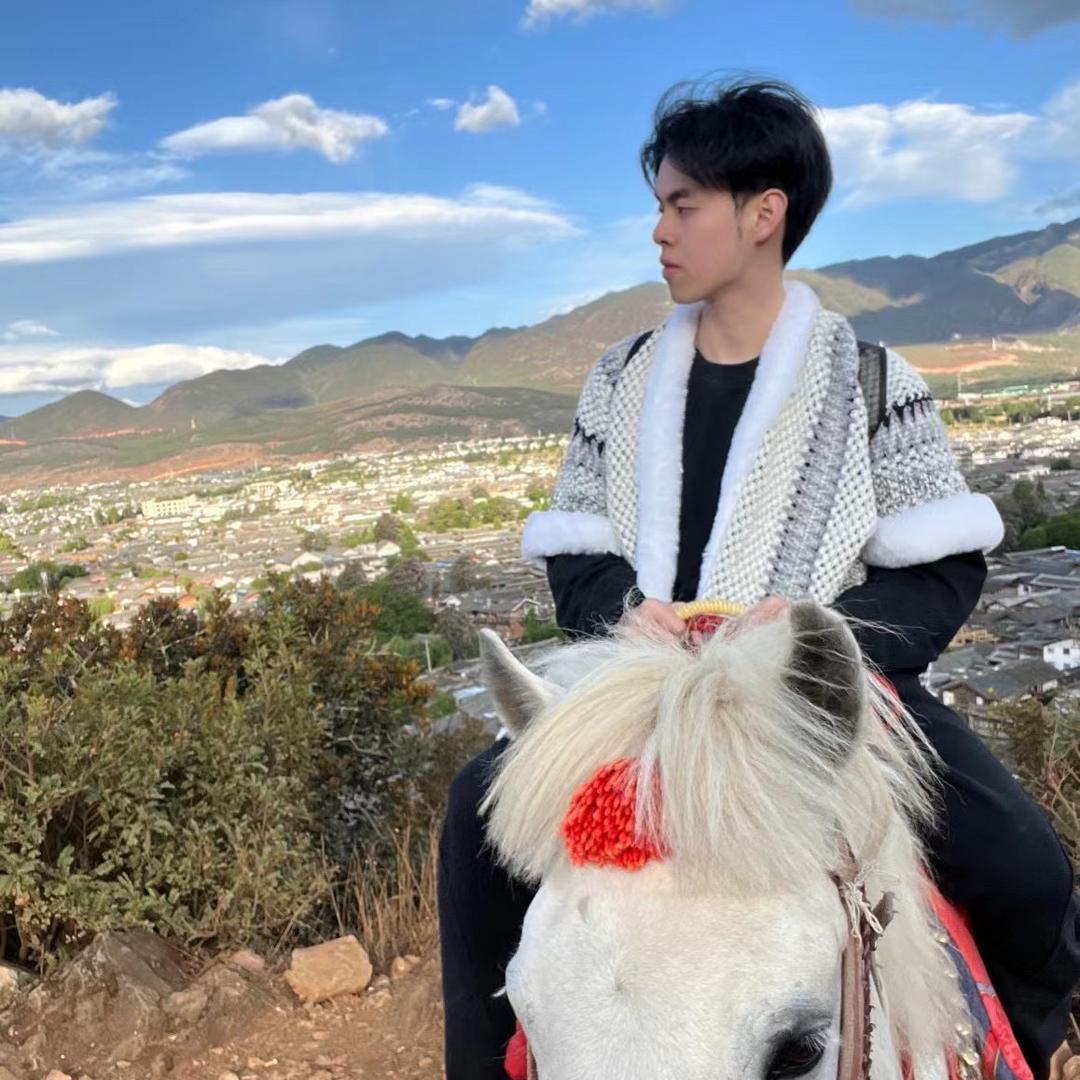 小李子包包