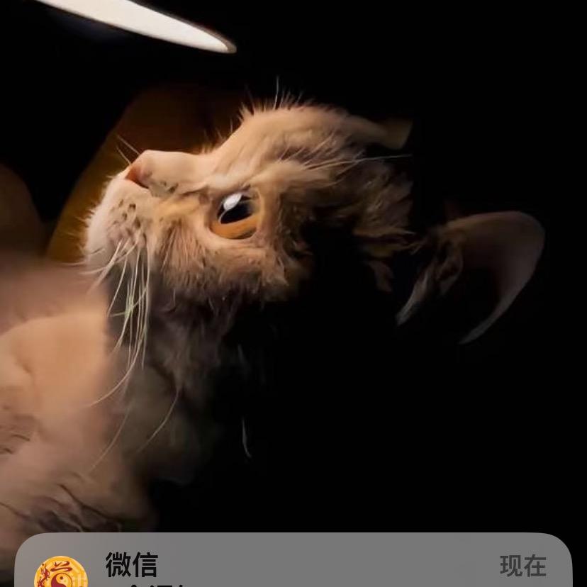 佐孟