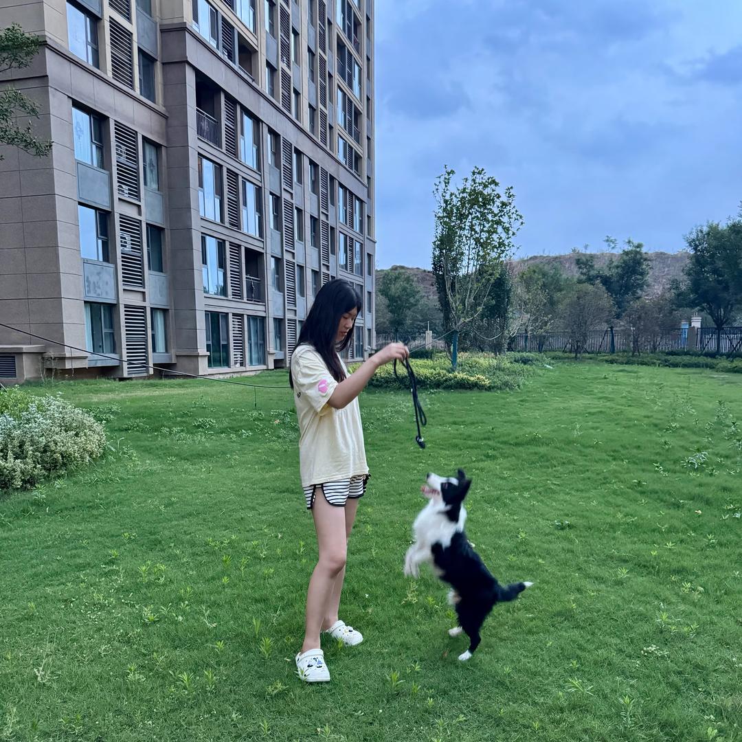 无忧🐶