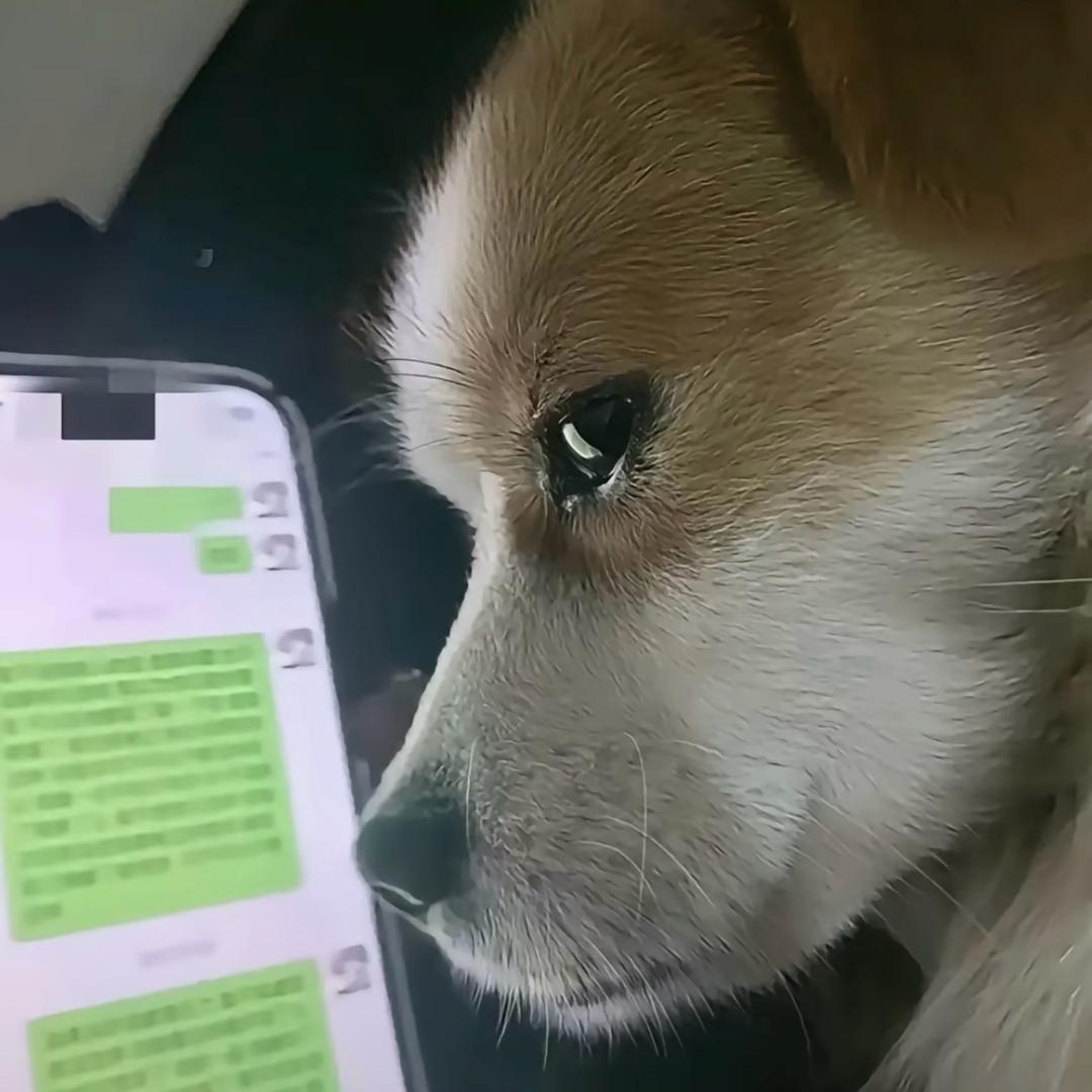 特别的人