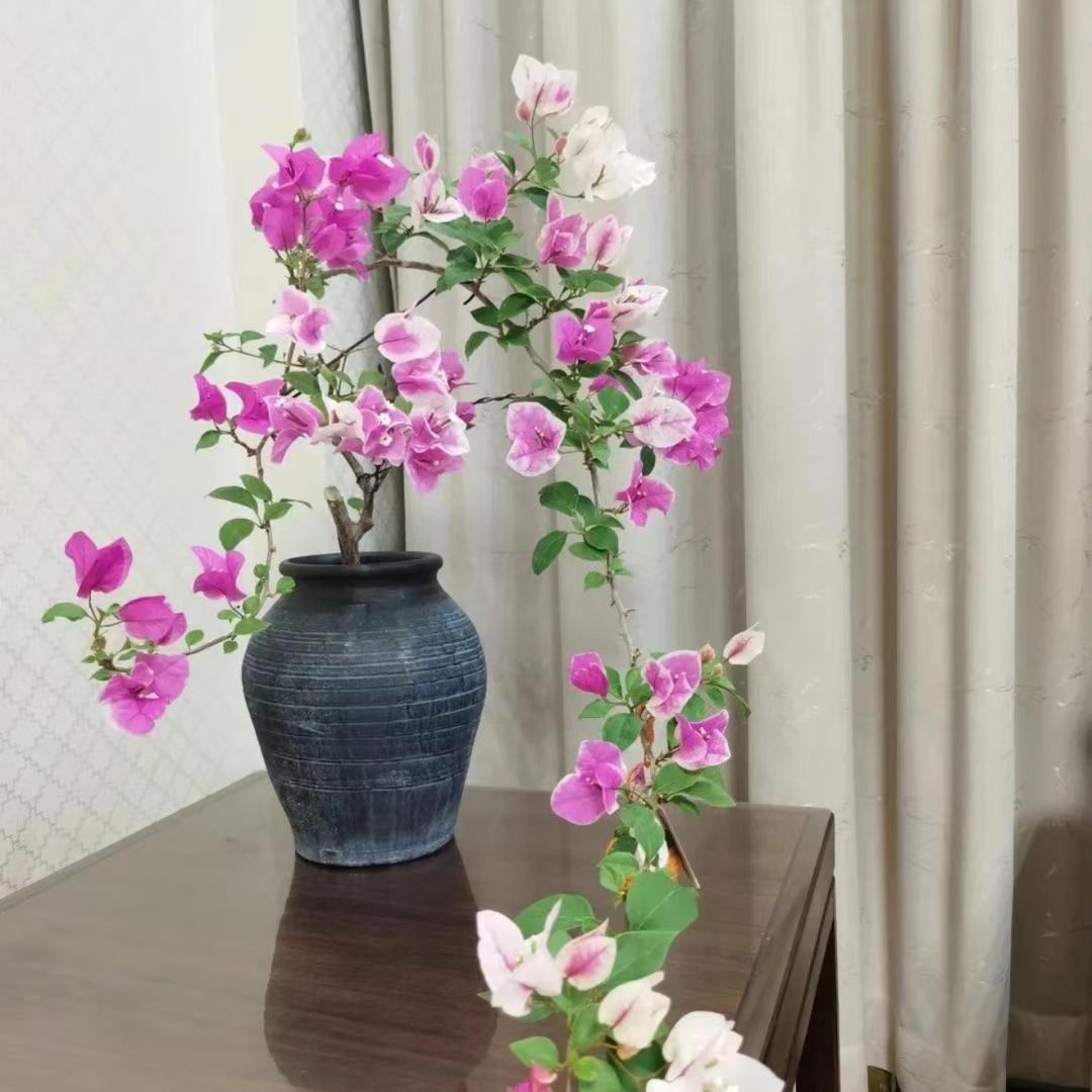 蜜姿