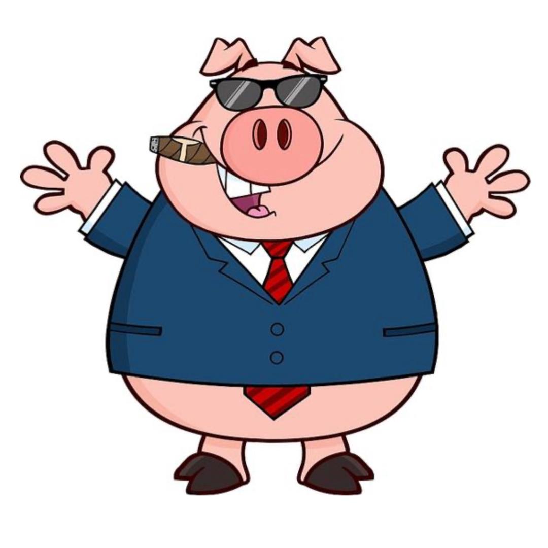 罗密欧与猪过夜🐷