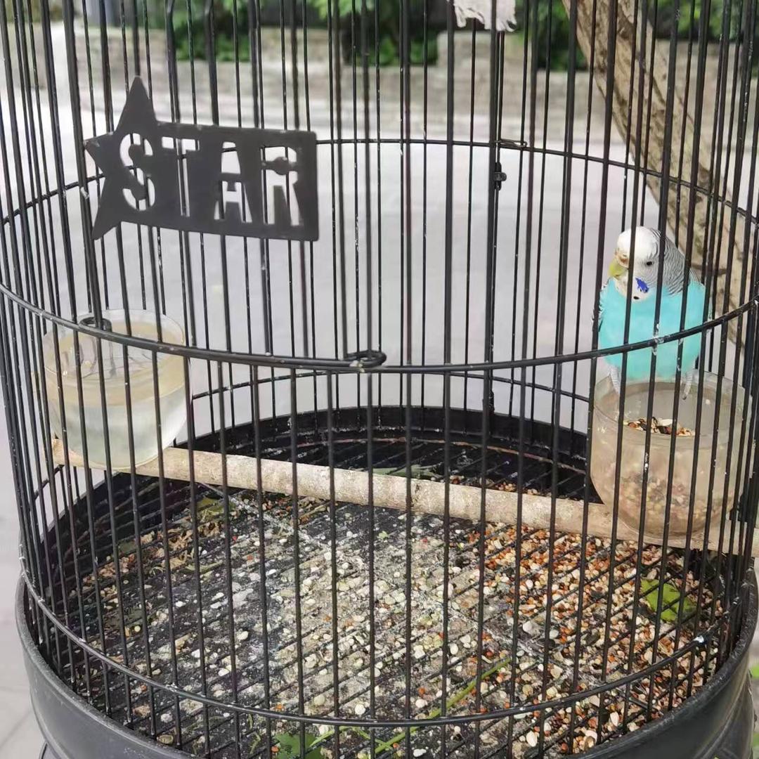 贝贝儿私人定制